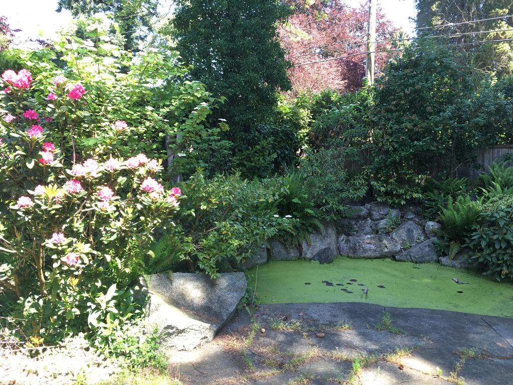 Angus House Vancouver Bagian luar foto